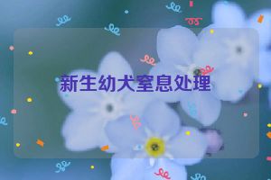 新生幼犬窒息处理