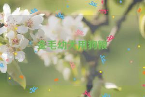 金毛幼犬用狗粮