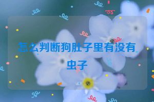 怎么判断狗肚子里有没有虫子