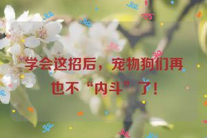 学会这招后，宠物狗们再也不“内斗”了！
