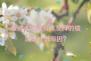 泰迪犬出现身体发抖的情况是什么原因？