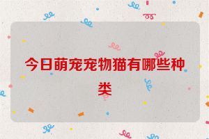 今日萌宠宠物猫有哪些种类