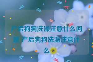 产后狗狗洗澡注意什么问题 产后狗狗洗澡注意什么