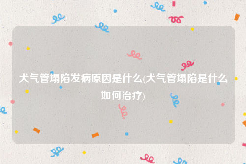 犬气管塌陷发病原因是什么(犬气管塌陷是什么如何治疗)