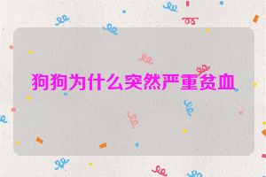 狗狗为什么突然严重贫血