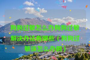 狗狗过敏怎么办狗狗过敏解决办法有哪些（狗狗过敏该怎么办啊）