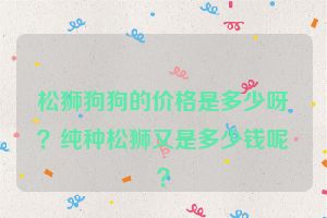 松狮狗狗的价格是多少呀？纯种松狮又是多少钱呢？