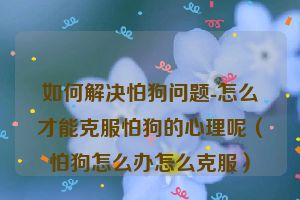 如何解决怕狗问题-怎么才能克服怕狗的心理呢（怕狗怎么办怎么克服）