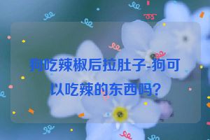狗吃辣椒后拉肚子-狗可以吃辣的东西吗？