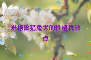 米格鲁猎兔犬的性格优缺点