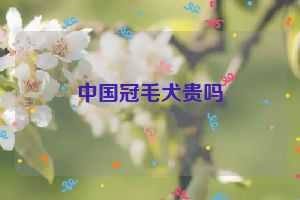 中国冠毛犬贵吗