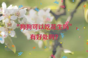 “狗狗可以吃花生吗”，有好处吗？