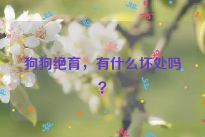 狗狗绝育，有什么坏处吗？