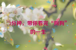3分钟,带你看完“狗狗”的一生