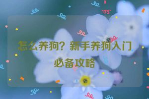 怎么养狗？新手养狗入门必备攻略