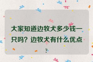 大家知道边牧犬多少钱一只吗？边牧犬有什么优点?