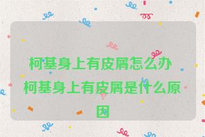 柯基身上有皮屑怎么办 柯基身上有皮屑是什么原因