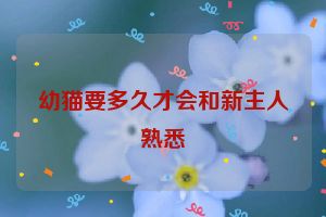 幼猫要多久才会和新主人熟悉