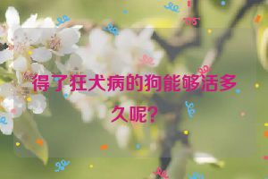 得了狂犬病的狗能够活多久呢？