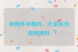 狗狗怀孕期内,大家应当如何照料