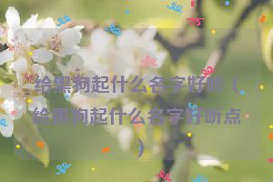 给黑狗起什么名字好听（给黑狗起什么名字好听点）