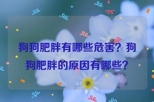 狗狗肥胖有哪些危害？狗狗肥胖的原因有哪些？