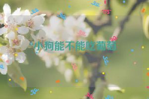 小狗能不能吃葡萄