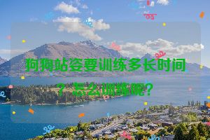 狗狗站姿要训练多长时间？怎么训练呢？