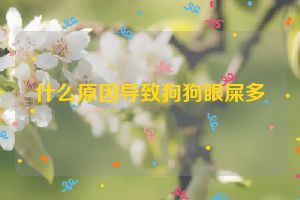 什么原因导致狗狗眼屎多