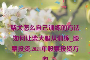 柴犬怎么自己训练的方法 如何让柴犬服从训练_股票投资,2021年股票投资方向