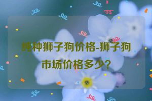 纯种狮子狗价格-狮子狗市场价格多少?