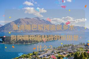 泰迪嘴巴紧闭流很多水-狗狗嘴巴流粘液的原因是什么？