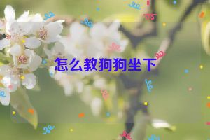 怎么教狗狗坐下