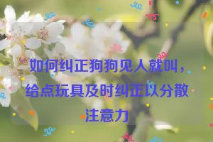 如何纠正狗狗见人就叫，给点玩具及时纠正以分散注意力