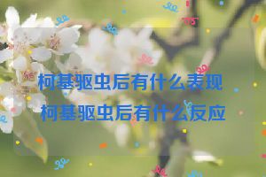 柯基驱虫后有什么表现 柯基驱虫后有什么反应