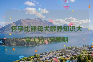 怀孕比熊母犬喂养知识大全（3）-分娩期