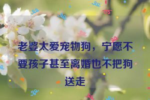 老婆太爱宠物狗，宁愿不要孩子甚至离婚也不把狗送走