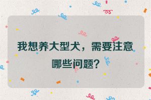 我想养大型犬，需要注意哪些问题？