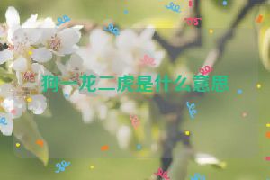 狗一龙二虎是什么意思