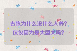 古牧为什么没什么人养？仅仅因为是大型犬吗？