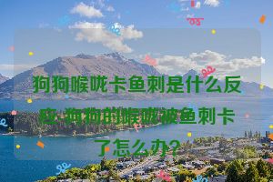 狗狗喉咙卡鱼刺是什么反应-狗狗的喉咙被鱼刺卡了怎么办？