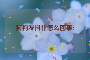 狗狗发抖什怎么回事?