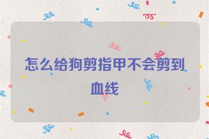 怎么给狗剪指甲不会剪到血线