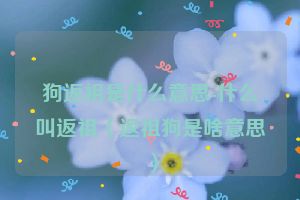 狗返祖是什么意思-什么叫返祖（返祖狗是啥意思）