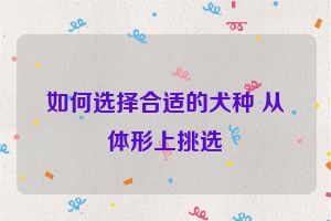 如何选择合适的犬种 从体形上挑选