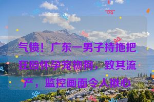 气愤！广东一男子持拖把狂殴怀孕宠物狗，致其流产，监控画面令人揪心