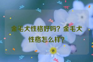 金毛犬性格好吗?金毛犬性格怎么样?
