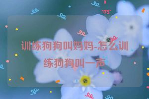 训练狗狗叫妈妈-怎么训练狗狗叫一声