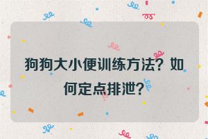 狗狗大小便训练方法？如何定点排泄？