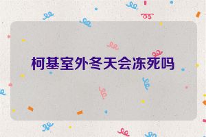 柯基室外冬天会冻死吗